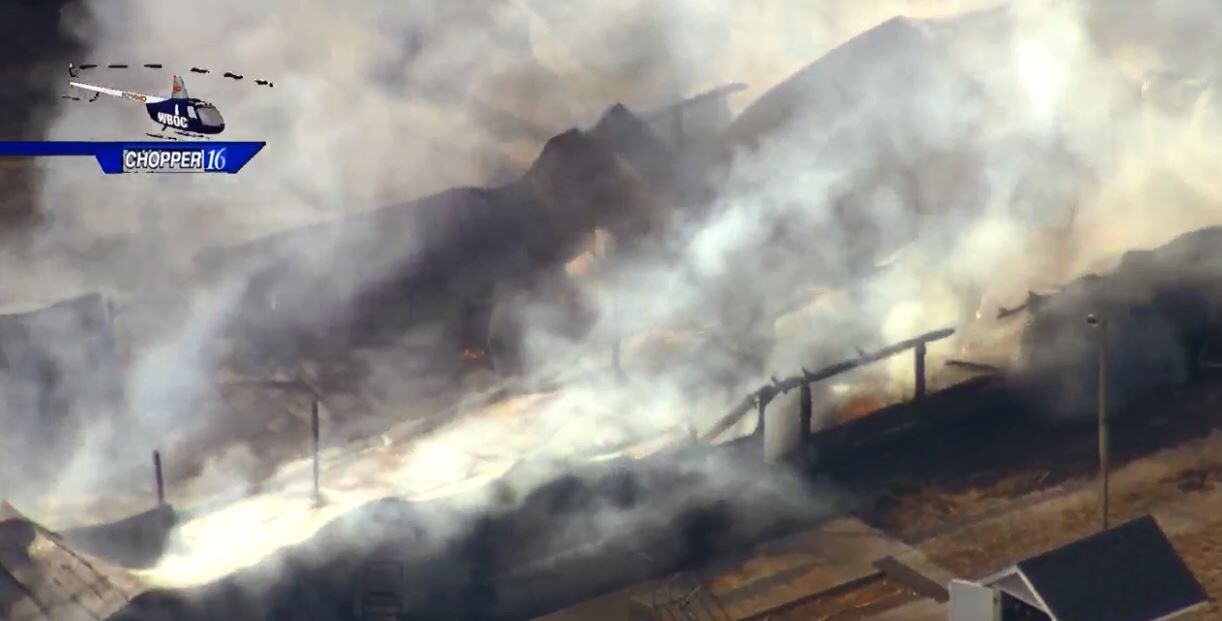 chicken fire 0811